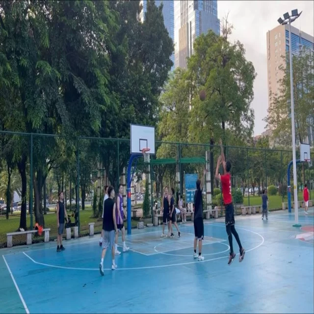 篮球季后赛走势解析:数据揭秘下的胜负关键